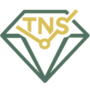 TNS Diamonds Watches Logo