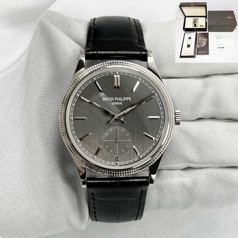 2022 Patek Philippe Calatrava 6119G-001 39MM Grey 18K White Gold Box Papers