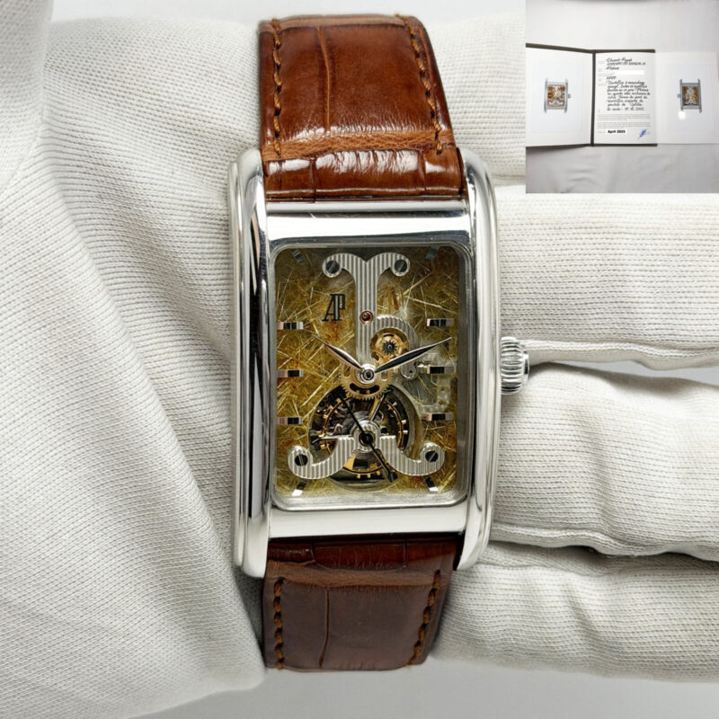 2025 Audemars Piguet Edward Piguet 25924PT 29MM Skeleton Platinum Paper
