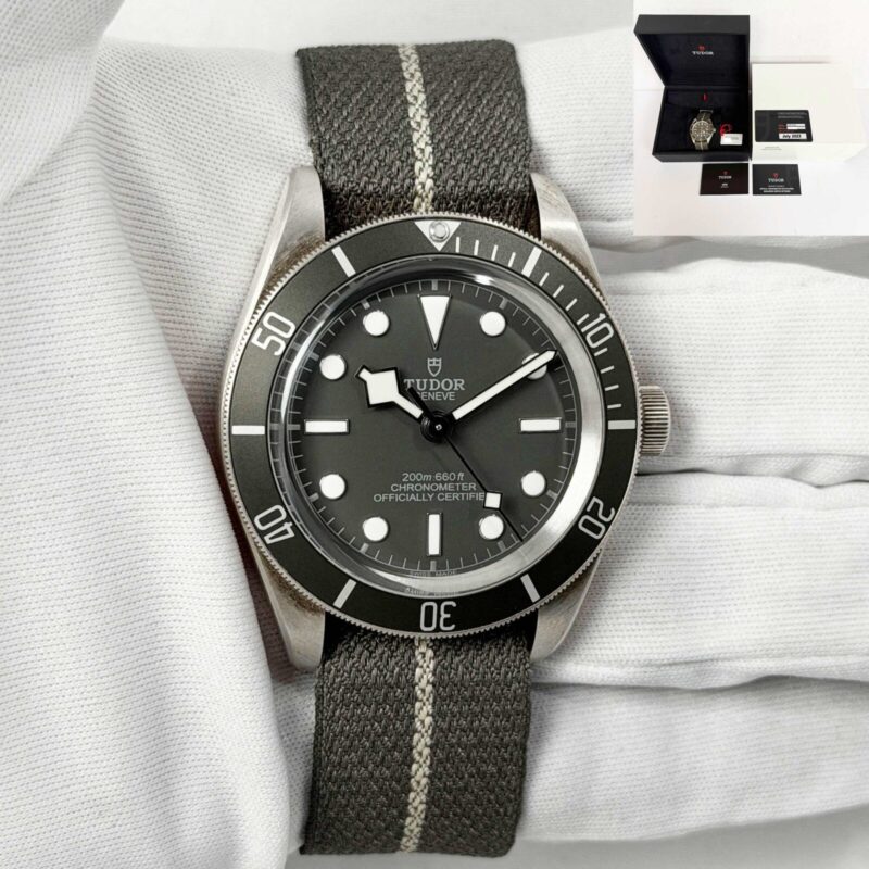 2023 Tudor Black Bay Fifty-Eight 79010SG 39MM Grey Dial Silver Case Box Paper