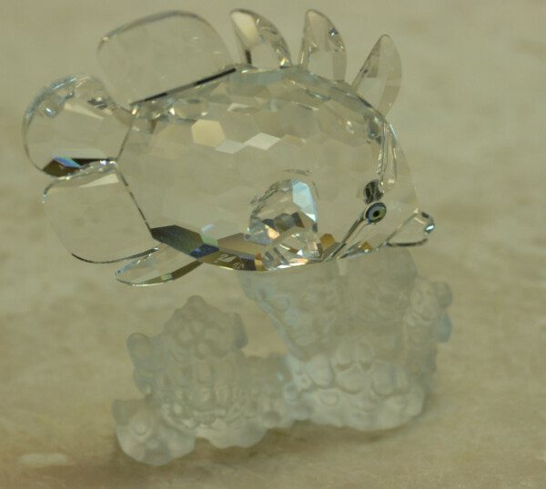 Swarovski-Butterfly-Fish-162888-170972682570